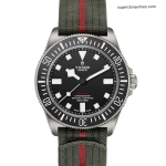 1:1 Super Clone Uhr Tudor Pelagos FXD M25717N-0001 Titan 42mm